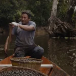 O que é Sustentabilidade Ambiental e como ela Pode Transformar Seu Estilo de Vida?